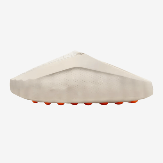 Mind 001 Slide - Light Bone